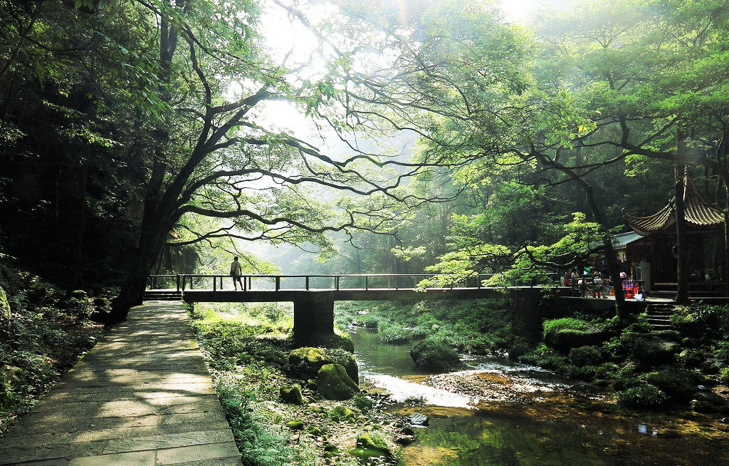 1531299999120390.jpg 6206256_224115106001_2 (1)_副本.jpg