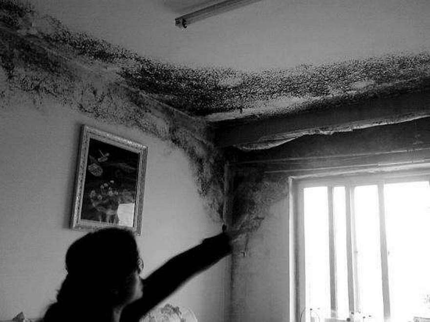 1531842420120958.jpg timg (6).jpg