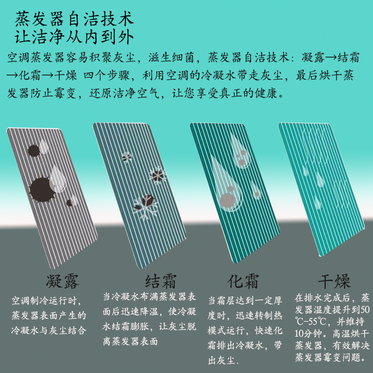 1536811380119882.jpg 詳情4.jpg