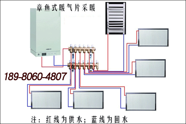 1540870326974928.jpg 2.jpg