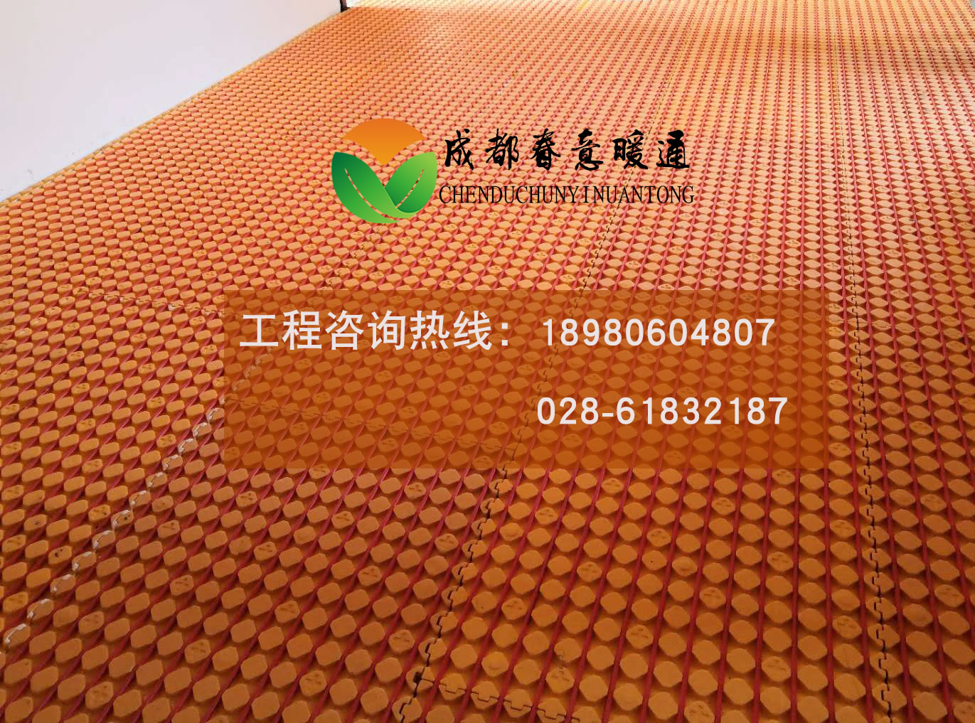 1550287030129999.jpg 1223456.jpg