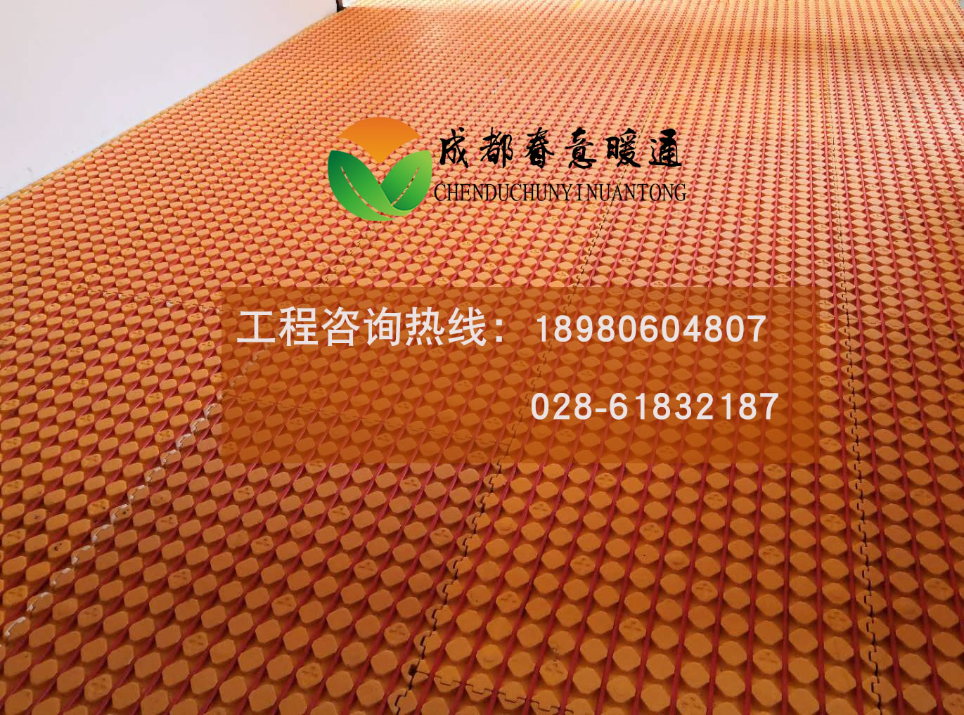 1551072899973895.jpg 1223456.jpg