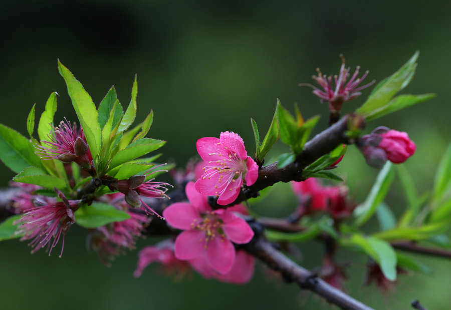 1556719163152418.jpg 3702490_1425992266667_mthumb.jpg