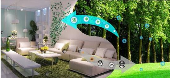 1556720459804177.jpg CF570F26D66905005A9BBD27744AF5AC.jpg