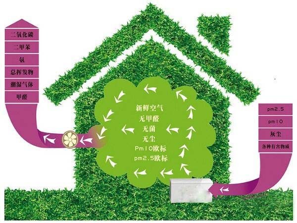 1556720484529721.jpg a4pez04119908308619.jpg